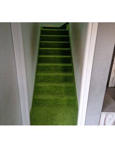 Mocheta Dynasty Verde