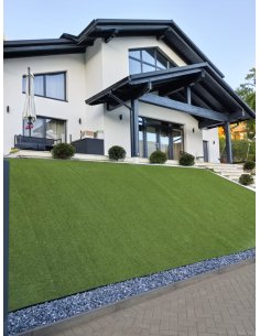 Gazon Iarba Naturala