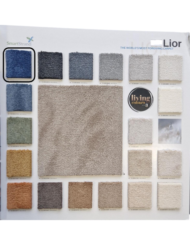 Mocheta Lior SmartStrand Forever Clean