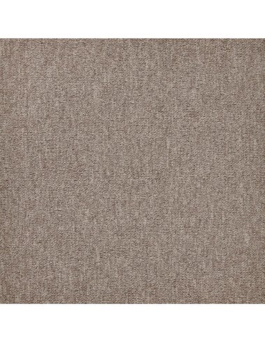 Mocheta Dale First Forward Bej 061