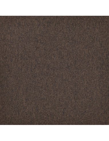 Mocheta Dale First Forward Maro 804