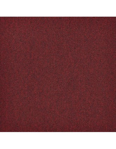 Mocheta Dale First Forward...