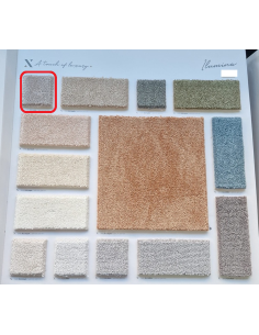 Mocheta Ilumina A Touch Of...