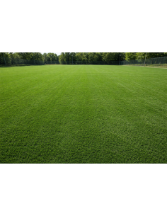 Gazon Multisport Fotbal 40mm