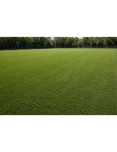 Gazon Multisport Fotbal 50mm 2