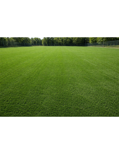 Gazon Sintetic Multisport Fusion TX 32mm