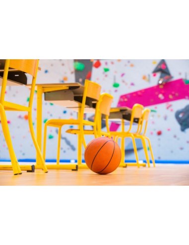 PVC Omnisports Reference Multi-use...