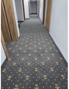 Mocheta Maria Crini Gri