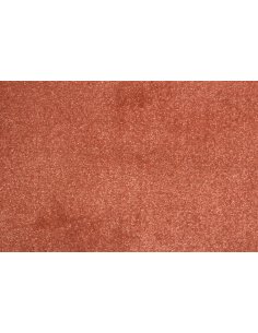 Mocheta Jubilee Rose 2