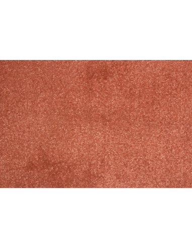 Mocheta Jubilee Rose