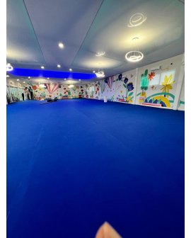 Expo Albastru Inchis  2