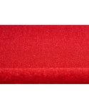 Gazon Rosu Fire Red New