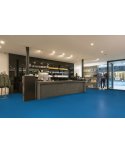 Linoleum Expo Albastru