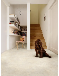 Linoleum Pasla Midas Bej/Gri