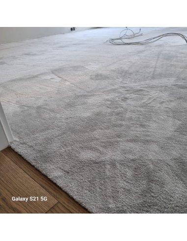 Mocheta Violin Silver